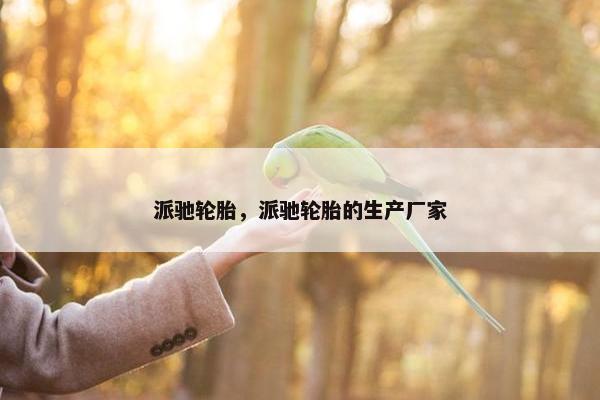 派驰轮胎，派驰轮胎的生产厂家