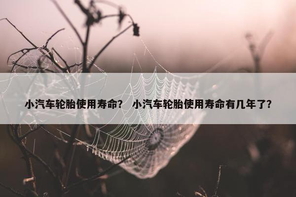 小汽车轮胎使用寿命？ 小汽车轮胎使用寿命有几年了？