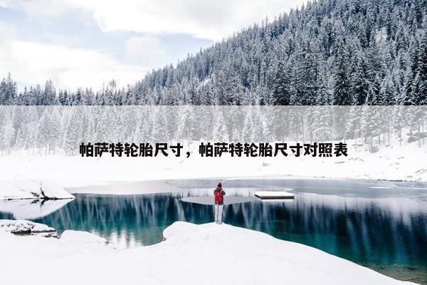 帕萨特轮胎尺寸，帕萨特轮胎尺寸对照表