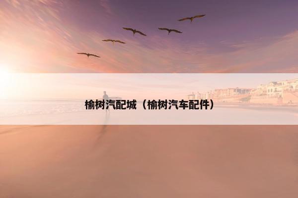 榆树汽配城（榆树汽车配件）