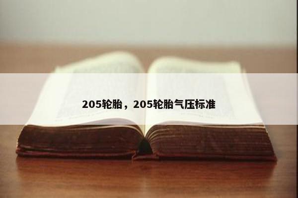 205轮胎，205轮胎气压标准