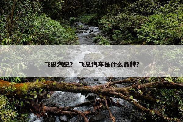 飞思汽配？ 飞思汽车是什么品牌？