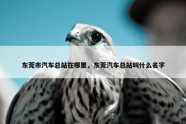 东莞市汽车总站在哪里，东莞汽车总站叫什么名字