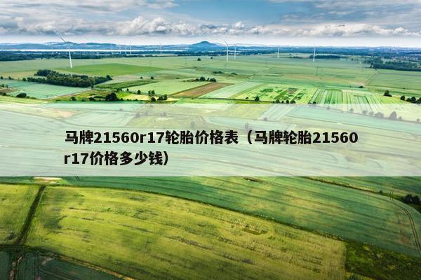 马牌21560r17轮胎价格表（马牌轮胎21560r17价格多少钱）