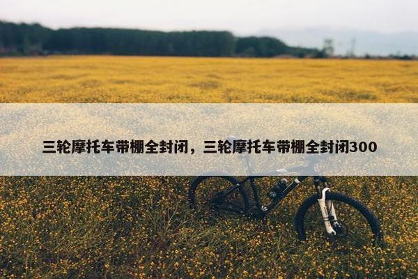 三轮摩托车带棚全封闭，三轮摩托车带棚全封闭300