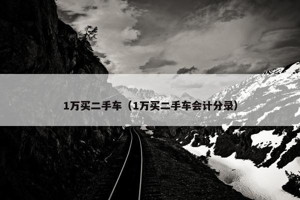 1万买二手车（1万买二手车会计分录）