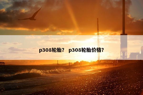 p308轮胎？ p308轮胎价格？