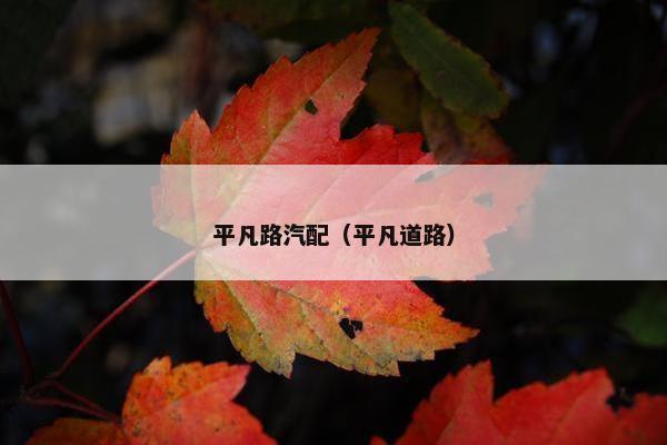 平凡路汽配（平凡道路）