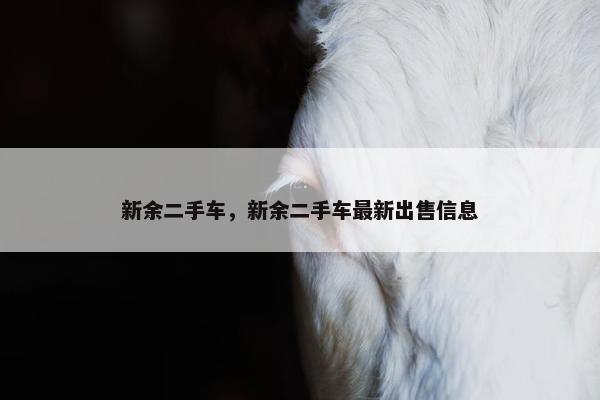 新余二手车，新余二手车最新出售信息