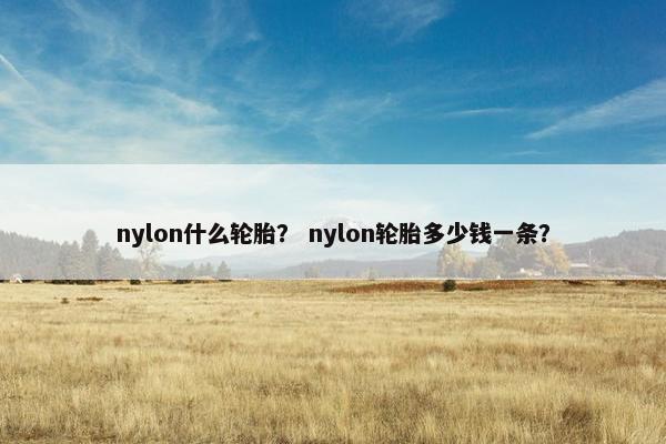 nylon什么轮胎？ nylon轮胎多少钱一条？