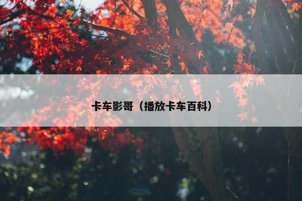 卡车影哥（播放卡车百科）