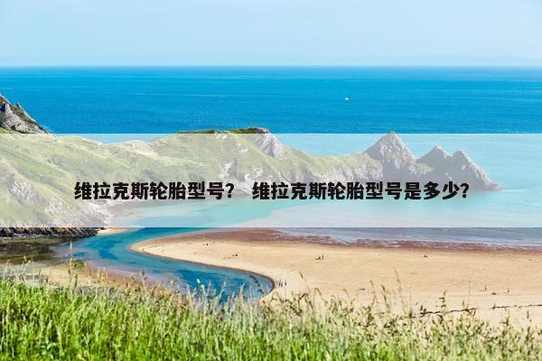 维拉克斯轮胎型号？ 维拉克斯轮胎型号是多少？