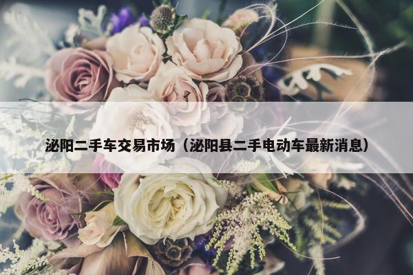 泌阳二手车交易市场（泌阳县二手电动车最新消息）
