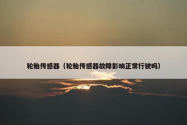 轮胎传感器（轮胎传感器故障影响正常行驶吗）