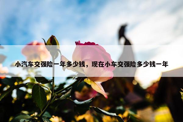 小汽车交强险一年多少钱，现在小车交强险多少钱一年