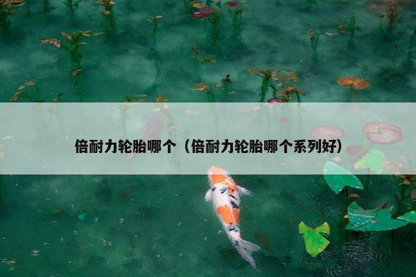 倍耐力轮胎哪个（倍耐力轮胎哪个系列好）