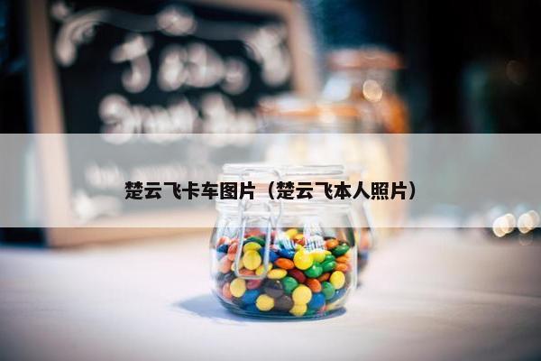 楚云飞卡车图片（楚云飞本人照片）