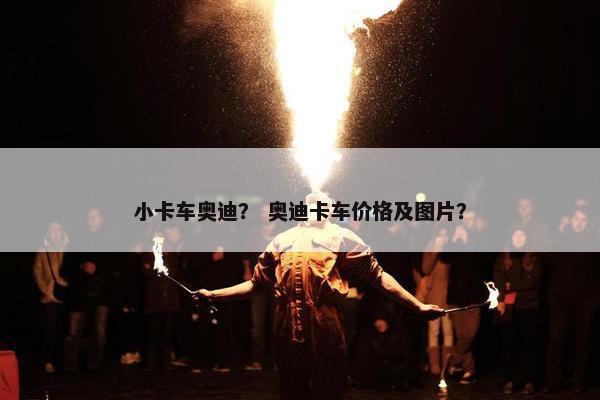 小卡车奥迪？ 奥迪卡车价格及图片？
