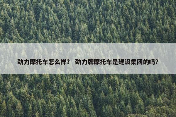 劲力摩托车怎么样？ 劲力牌摩托车是建设集团的吗？