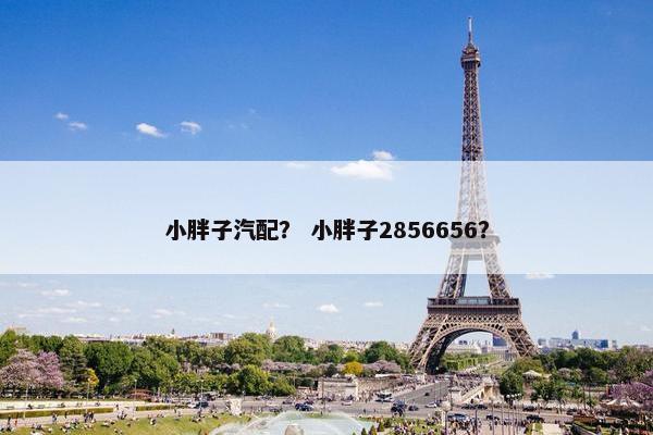 小胖子汽配？ 小胖子2856656？