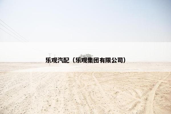 乐观汽配（乐观集团有限公司）