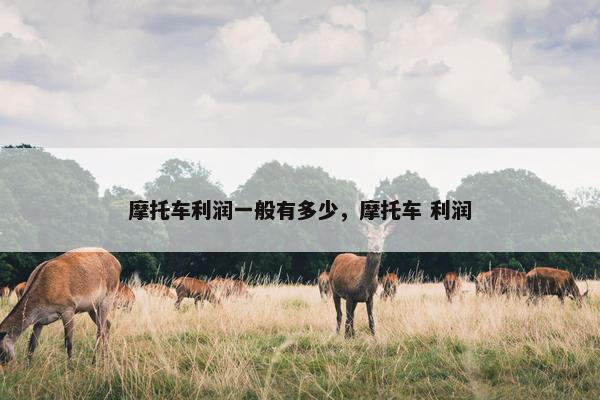 摩托车利润一般有多少，摩托车 利润