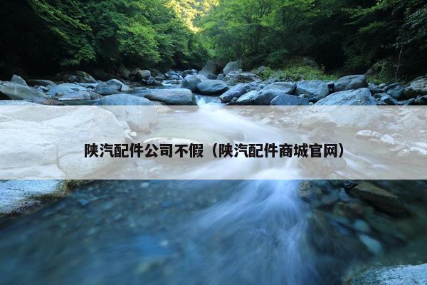 陕汽配件公司不假（陕汽配件商城官网）