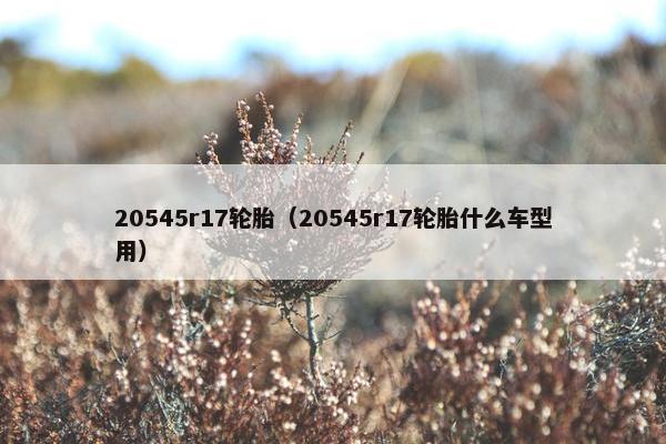 20545r17轮胎（20545r17轮胎什么车型用）