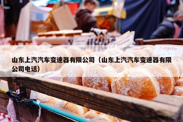 山东上汽汽车变速器有限公司（山东上汽汽车变速器有限公司电话）
