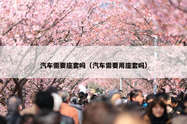 汽车需要座套吗（汽车需要用座套吗）