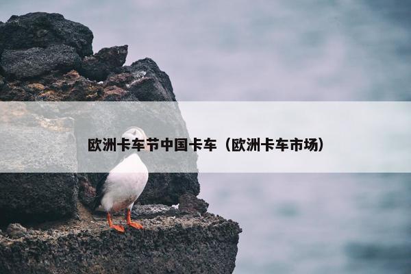 欧洲卡车节中国卡车（欧洲卡车市场）