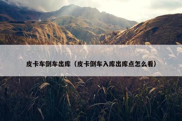 皮卡车倒车出库（皮卡倒车入库出库点怎么看）