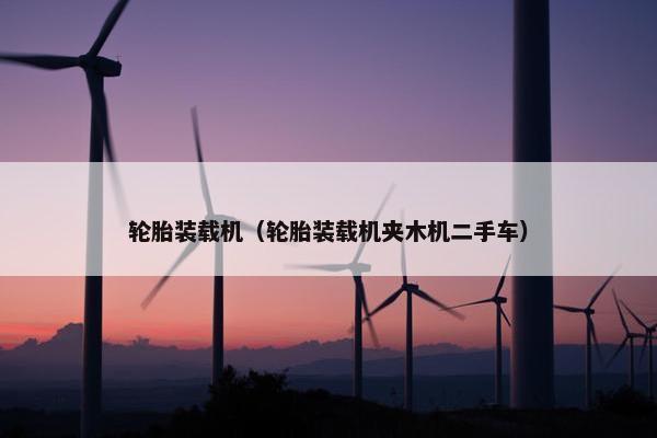 轮胎装载机（轮胎装载机夹木机二手车）