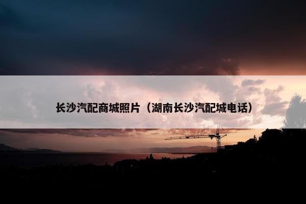 长沙汽配商城照片（湖南长沙汽配城电话）