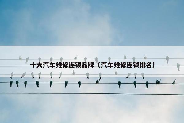 十大汽车维修连锁品牌（汽车维修连锁排名）