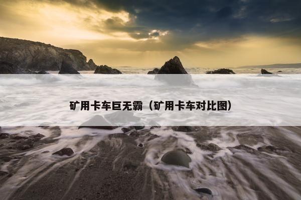 矿用卡车巨无霸（矿用卡车对比图）