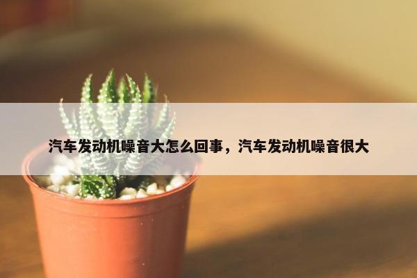 汽车发动机噪音大怎么回事，汽车发动机噪音很大
