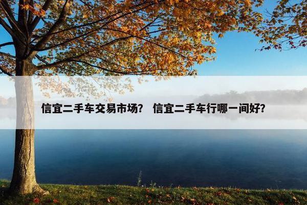 信宜二手车交易市场？ 信宜二手车行哪一间好？