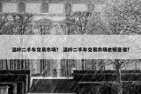 温岭二手车交易市场？ 温岭二手车交易市场老板是谁？