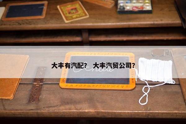 大丰有汽配？ 大丰汽贸公司？