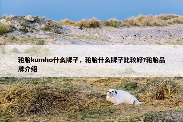 轮胎kumho什么牌子，轮胎什么牌子比较好?轮胎品牌介绍