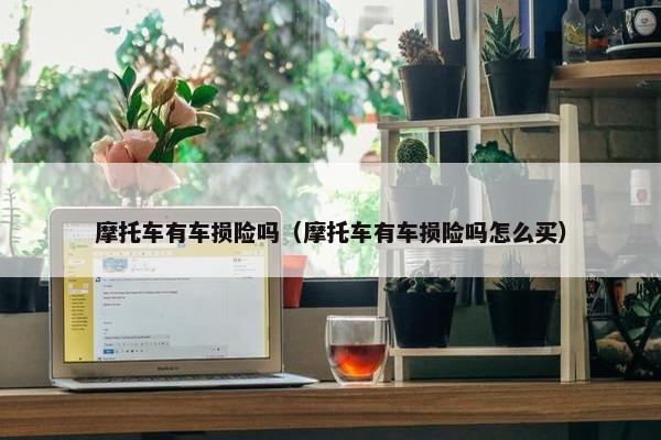 摩托车有车损险吗（摩托车有车损险吗怎么买）