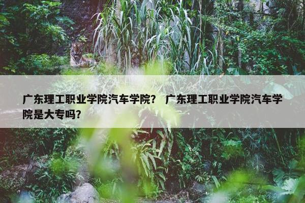 广东理工职业学院汽车学院？ 广东理工职业学院汽车学院是大专吗？