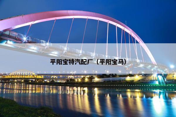 平阳宝特汽配厂（平阳宝马）