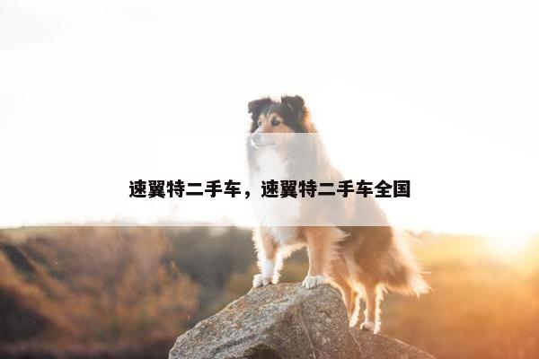 速翼特二手车，速翼特二手车全国
