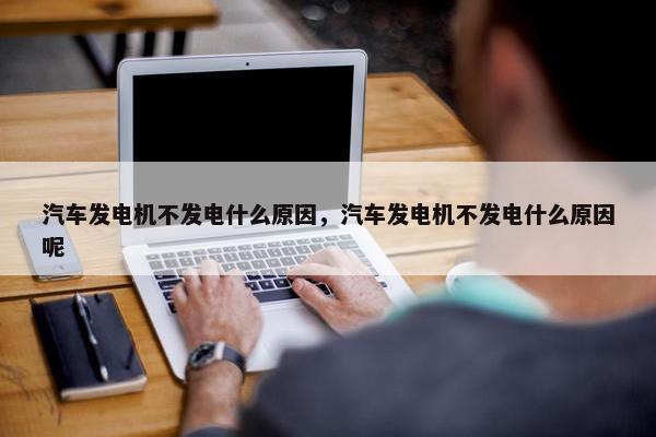 汽车发电机不发电什么原因，汽车发电机不发电什么原因呢
