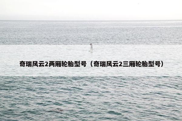 奇瑞风云2两厢轮胎型号（奇瑞风云2三厢轮胎型号）