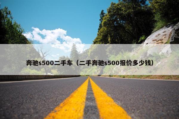 奔驰s500二手车（二手奔驰s500报价多少钱）