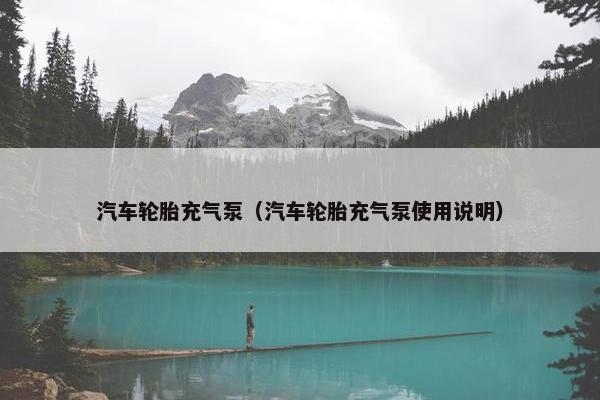 汽车轮胎充气泵（汽车轮胎充气泵使用说明）