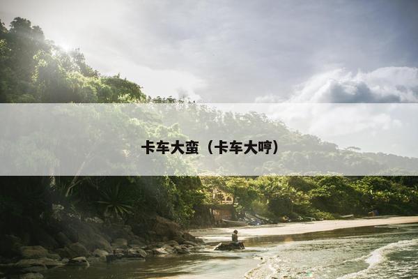卡车大蛮（卡车大哼）